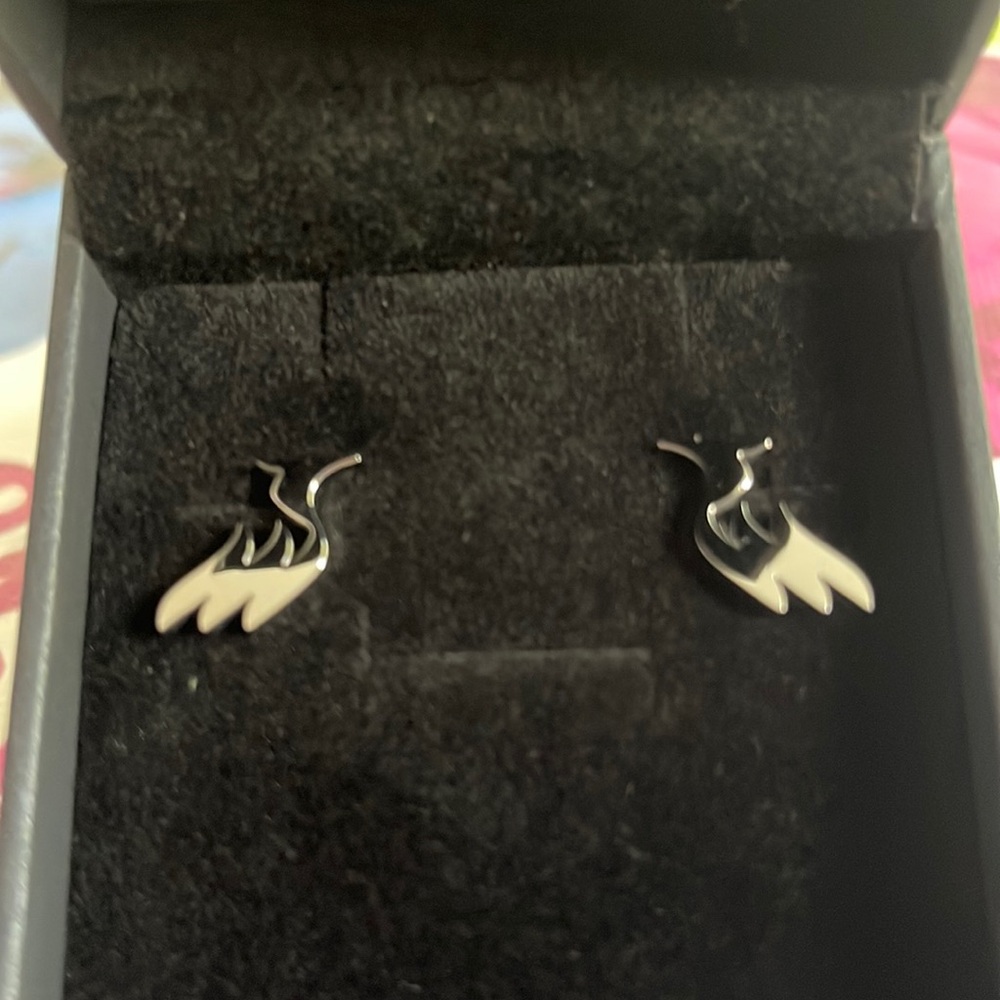 Beautifull Earing from siana brand . Color silver